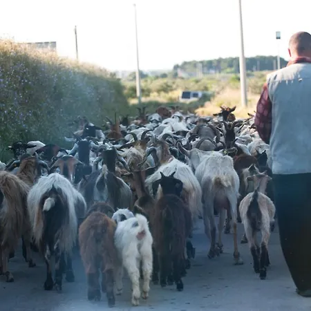 Ξενοδοχείο Masseria Bandino & 4*