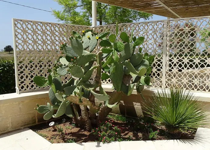 Hotel Masseria Bandino & Otranto