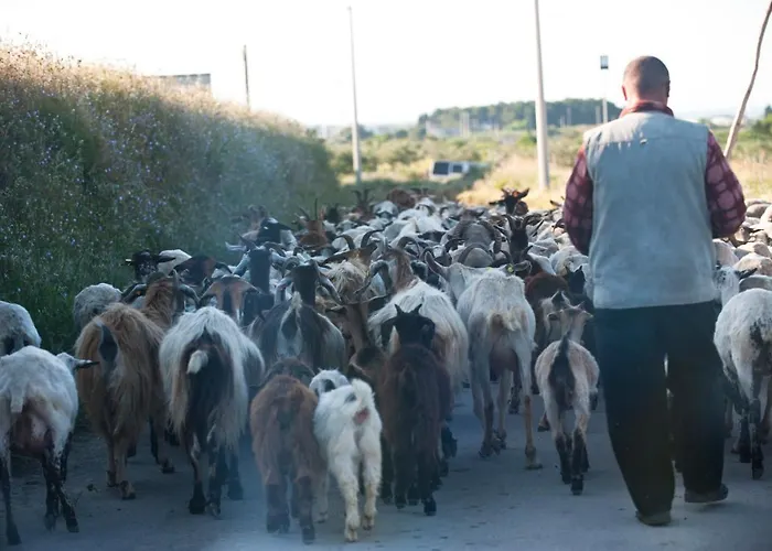 Hotel Masseria Bandino & 4*